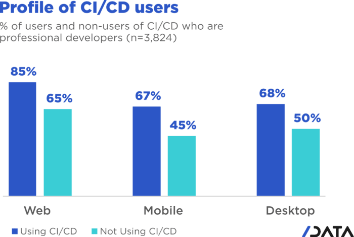 profile of ci/cd users